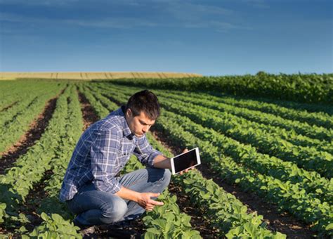  Agronomy for Everyone: Ein Persisches Meisterwerk der Landwirtschaftlichen Aufklärung