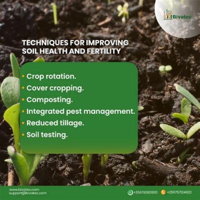  Improving Crop Production through Soil Management: A Journey into Ethiopian Agricultural Wisdom