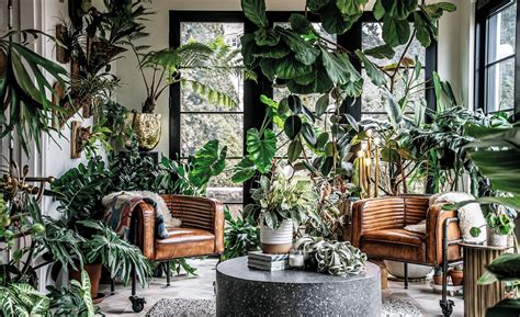  Indoor Jungle: A Complete Guide To Growing Lush Plants In Your Home – Unveiling the Artful Harmony Between Nature and Interior Design