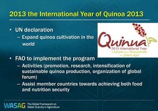  Quinoa Cultivation for Food Security: A Sustainable Approach - Ein Blick auf die Kunst der Nahrungsmittelsicherheit